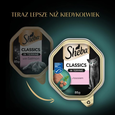 Sheba Classics Z Łososiem 85g Sheba Classics Z Łososiem 85g