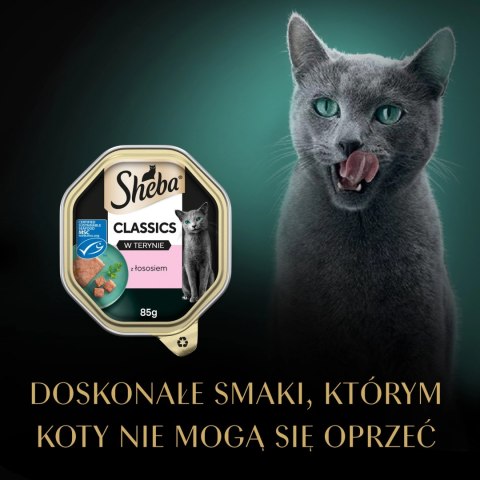 Sheba Classics Z Łososiem 85g Sheba Classics Z Łososiem 85g
