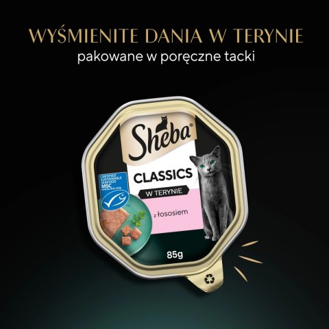 Sheba Classics Z Łososiem 85g Sheba Classics Z Łososiem 85g