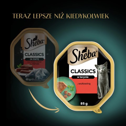Sheba Classics Z Wołowiną 85g Sheba Classics Z Wołowiną 85g