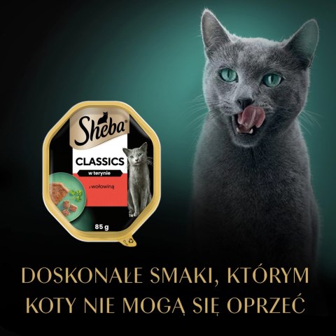 Sheba Classics Z Wołowiną 85g Sheba Classics Z Wołowiną 85g