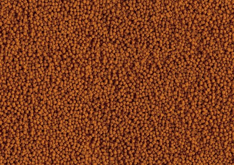 Tetra Pond Koi Mini Sticks 1l Tetra Pond Koi Mini Sticks 1l