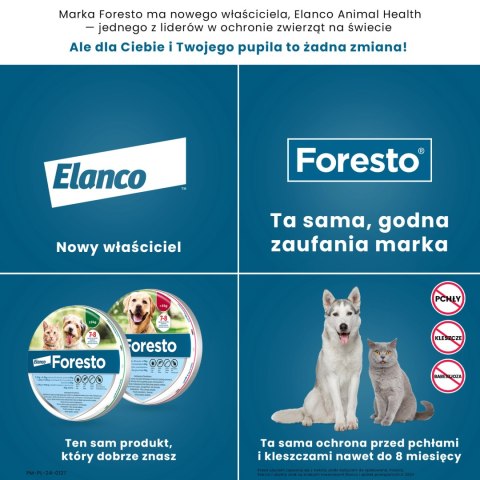 Bayer Foresto Obroża Dla Kotów I Psów 38cm Bayer Foresto Obroża Dla Kotów I Psów 38cm
