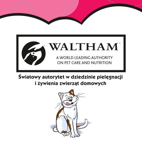 DREAMIES Przysmak Dla Kota Z Wołowiną 60g DREAMIES Przysmak Dla Kota Z Wołowiną 60g