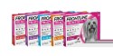 FRONTLINE Tri-Act Dla Psów 3x2ml