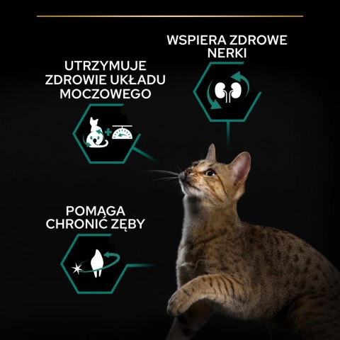 PURINA Pro Plan Cat Sterilised Turkey 10kg PURINA Pro Plan Cat Sterilised Turkey 10kg