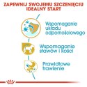 ROYAL CANIN Dachshund Puppy 1,5kg