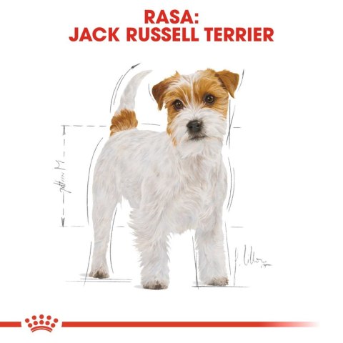 ROYAL CANIN Jack Russell Terrier Adult 7,5kg ROYAL CANIN Jack Russell Terrier Adult 7,5kg