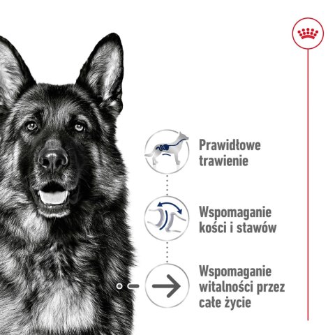 ROYAL CANIN Maxi Ageing 8+ 15kg ROYAL CANIN Maxi Ageing 8+ 15kg