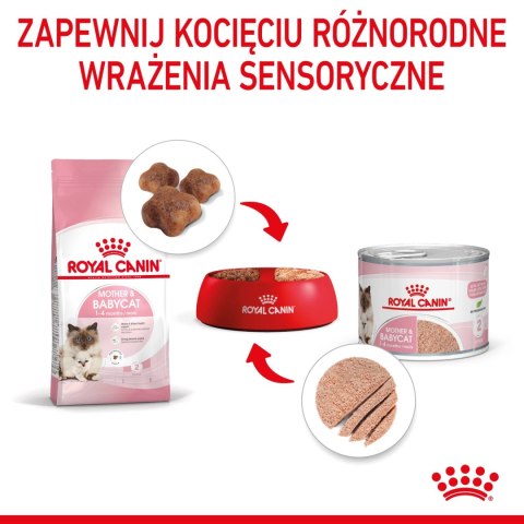 ROYAL CANIN Mother & Babycat Ultra Soft Mousse 195g ROYAL CANIN Mother & Babycat Ultra Soft Mousse 195g