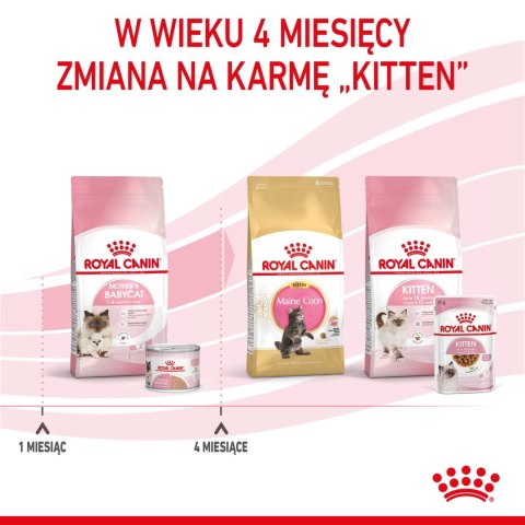 ROYAL CANIN Mother & Babycat Ultra Soft Mousse 195g ROYAL CANIN Mother & Babycat Ultra Soft Mousse 195g