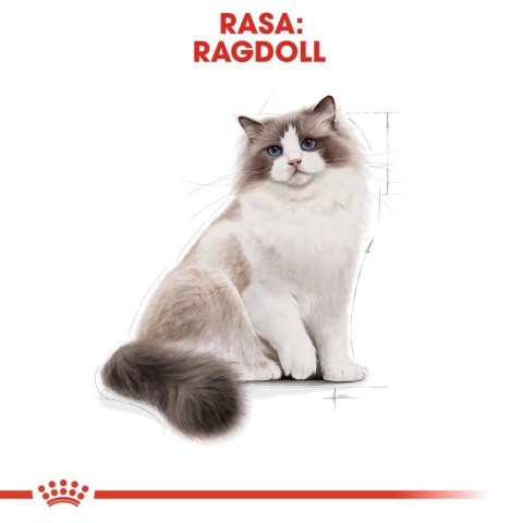 ROYAL CANIN Ragdoll Adult 400g ROYAL CANIN Ragdoll Adult 400g