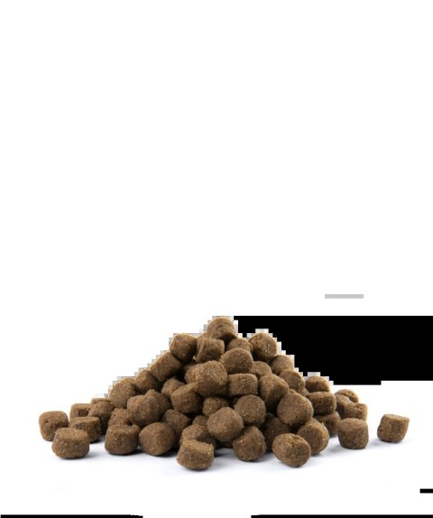 Versele-Laga Opti Life Adult Digestion Medium&Maxi Jagnięcina Z Ryżem 12,5kg Versele-Laga Opti Life Adult Digestion Medium&Maxi Jagnięcina Z Ryżem 12,5kg
