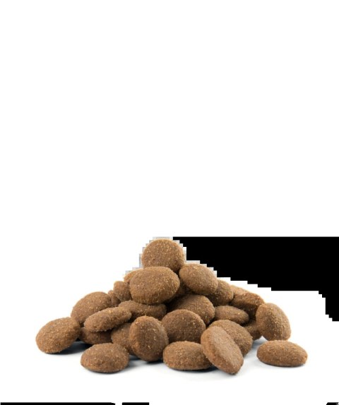Versele-Laga Opti Life Adult Maxi Kurczak Z Ryżem 12,5kg Versele-Laga Opti Life Adult Maxi Kurczak Z Ryżem 12,5kg