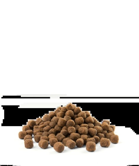 Versele-Laga Opti Life Adult Mini Kurczak Z Ryżem Dla Małych Ras 7,5kg Versele-Laga Opti Life Adult Mini Kurczak Z Ryżem Dla Małych Ras 7,5kg