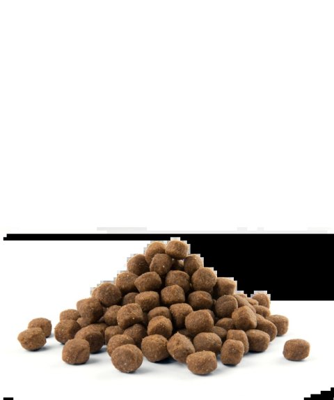 Versele-Laga Opti Life Puppy Maxi Z Kurczakiem 12,5kg Versele-Laga Opti Life Puppy Maxi Z Kurczakiem 12,5kg