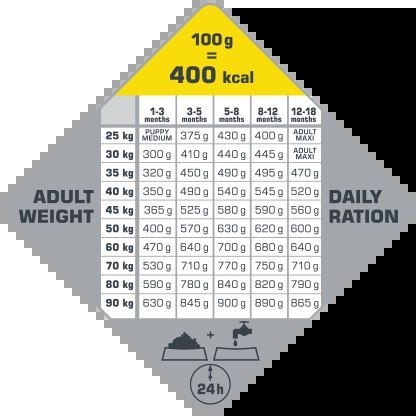 Versele-Laga Opti Life Puppy Maxi Z Kurczakiem 12,5kg Versele-Laga Opti Life Puppy Maxi Z Kurczakiem 12,5kg