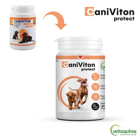 Vetoquinol Caniviton Protect 90szt Vetoquinol Caniviton Protect 90szt