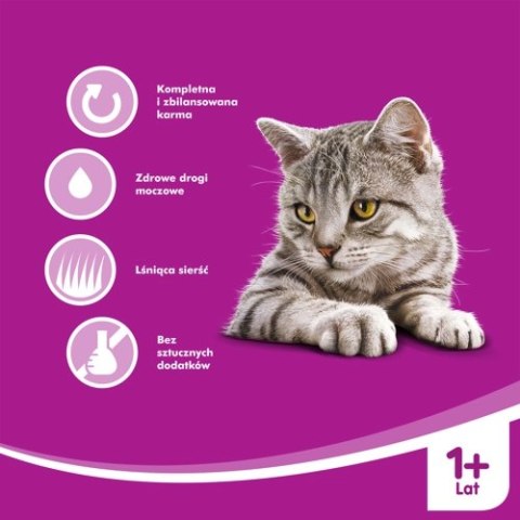 WHISKAS Karma Mokra 1+ Z Kurczakiem W Sosie 400g WHISKAS Karma Mokra 1+ Z Kurczakiem W Sosie 400g