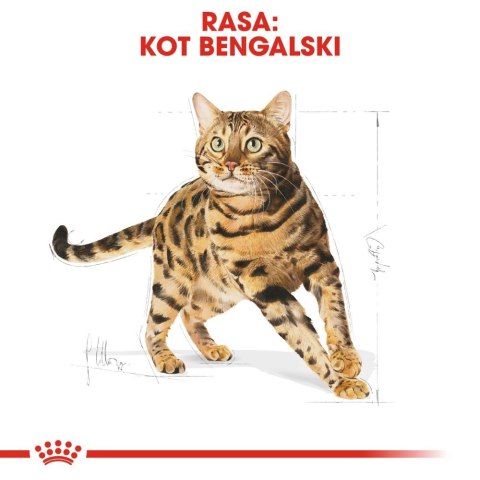 ROYAL CANIN Bengal Adult 10kg ROYAL CANIN Bengal Adult 10kg