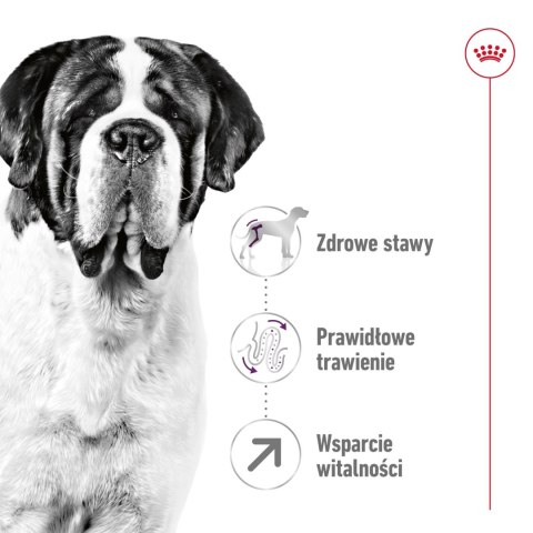 ROYAL CANIN Giant Adult 15kg ROYAL CANIN Giant Adult 15kg