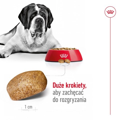 ROYAL CANIN Giant Adult 15kg ROYAL CANIN Giant Adult 15kg