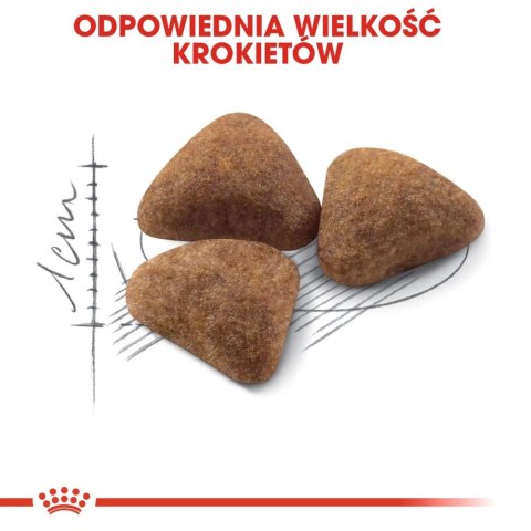 ROYAL CANIN Indoor 27 2kg ROYAL CANIN Indoor 27 2kg