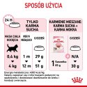 ROYAL CANIN Kitten 10kg