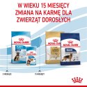 ROYAL CANIN Maxi Puppy 15kg