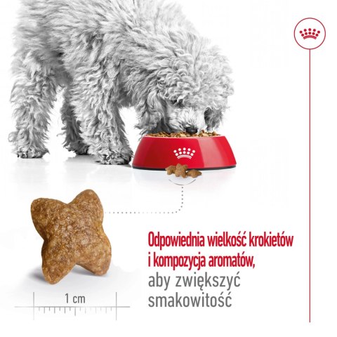 ROYAL CANIN Mini Adult 2kg ROYAL CANIN Mini Adult 2kg