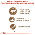 ROYAL CANIN Ageing Sterilised +12 2kg