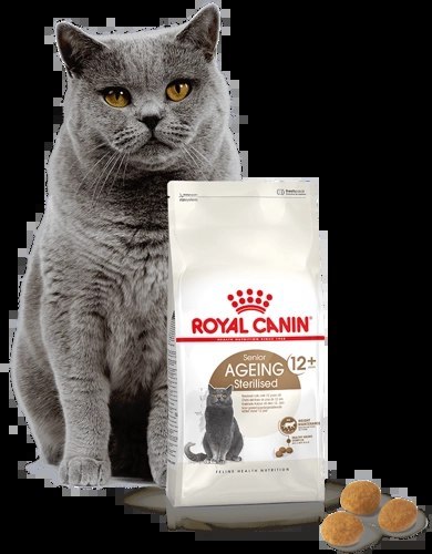 ROYAL CANIN Ageing Sterilised +12 4kg ROYAL CANIN Ageing Sterilised +12 4kg