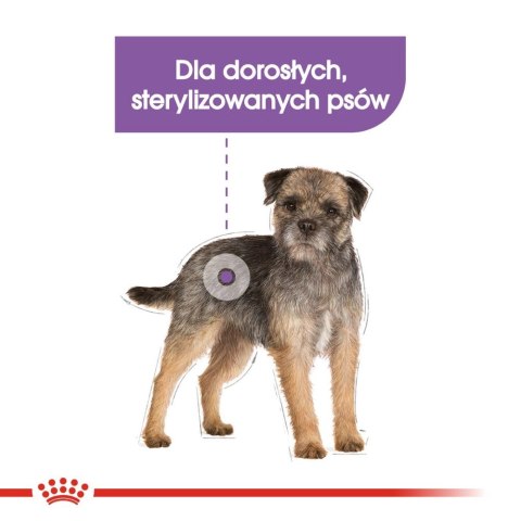 ROYAL CANIN CCN Mini Sterilised 8kg ROYAL CANIN CCN Mini Sterilised 8kg