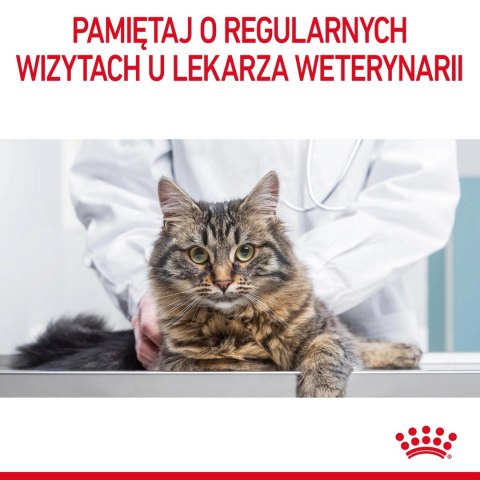 ROYAL CANIN Digestive Care 10kg ROYAL CANIN Digestive Care 10kg