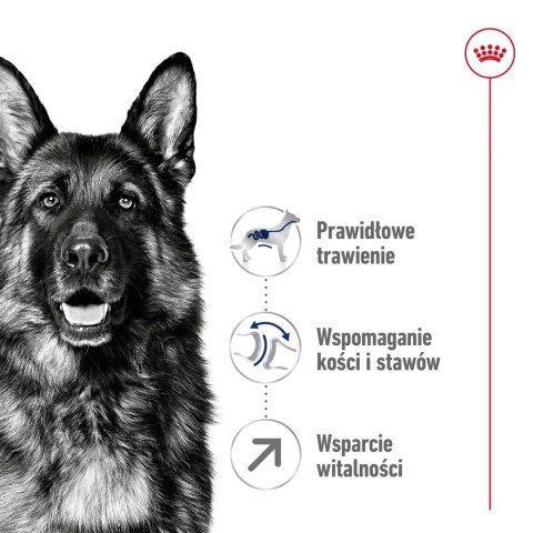 ROYAL CANIN Maxi Adult 5+ 15kg ROYAL CANIN Maxi Adult 5+ 15kg