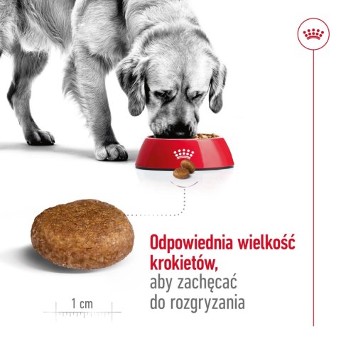 ROYAL CANIN Maxi Adult 5+ 15kg ROYAL CANIN Maxi Adult 5+ 15kg