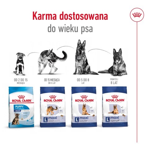 ROYAL CANIN Maxi Adult 5+ 15kg ROYAL CANIN Maxi Adult 5+ 15kg