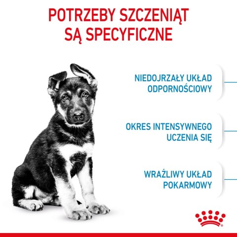 ROYAL CANIN Maxi Puppy 4kg ROYAL CANIN Maxi Puppy 4kg