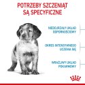 ROYAL CANIN Medium Puppy 4kg