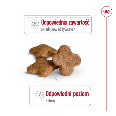 ROYAL CANIN Mini Adult +8 8kg ROYAL CANIN Mini Adult +8 8kg