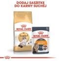 ROYAL CANIN Ragdoll Adult 10kg