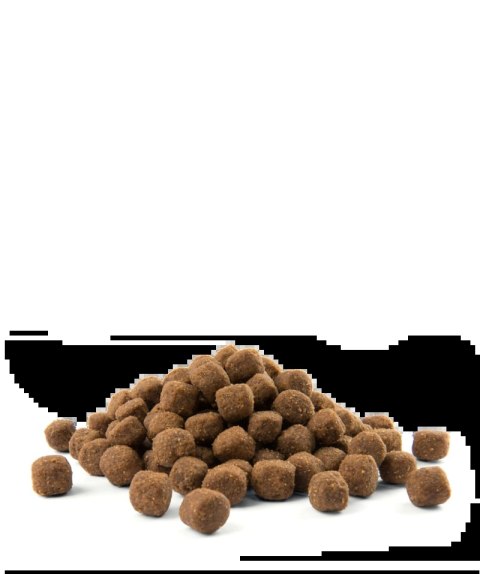 Versele-Laga Opti Life Adult Medium Z Kurczakiem I Ryżem 12,5kg Versele-Laga Opti Life Adult Medium Z Kurczakiem I Ryżem 12,5kg