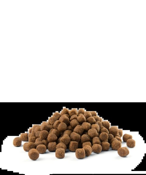 Versele-Laga Opti Life Puppy Medium Z Kurczakiem Dla Szczeniąt Średnich Ras 2,5kg Versele-Laga Opti Life Puppy Medium Z Kurczakiem Dla Szczeniąt Średnich Ras 2,5kg