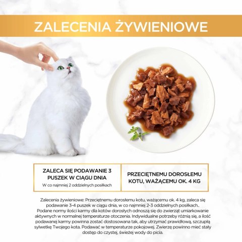 Purina Gourmet Gold kaczka/indyk w sosie 85g Purina Gourmet Gold kaczka/indyk w sosie 85g