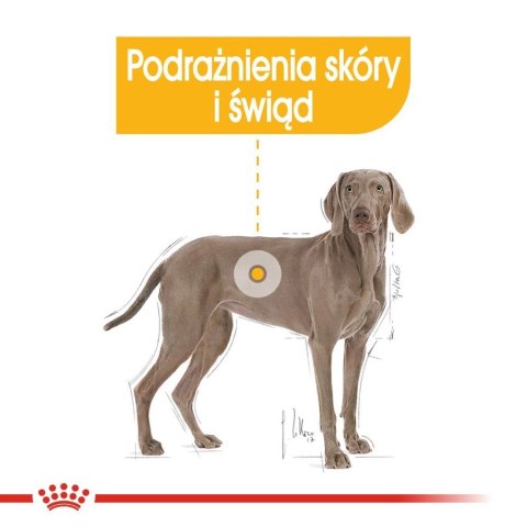 ROYAL CANIN CCN Maxi Dermacomfort 12kg ROYAL CANIN CCN Maxi Dermacomfort 12kg