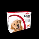 BIOVICO ANTINOL SIZAROL PIES 120 tabletek NA STAWY