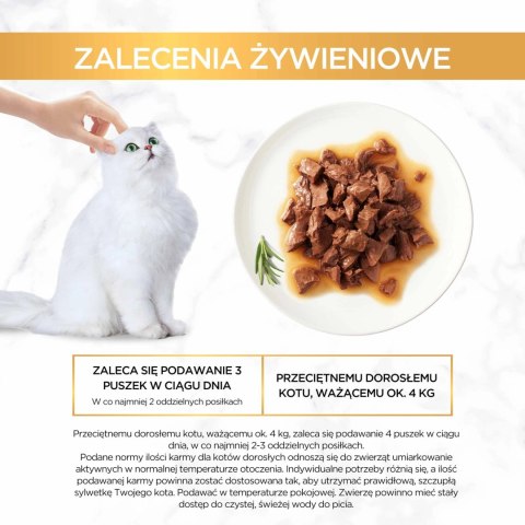 Purina Gourmet Gold Sauce Delight z wołowiną 85g Purina Gourmet Gold Sauce Delight z wołowiną 85g