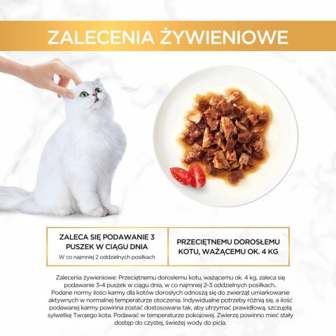 Purina Gourmet Gold z wołowiną i kurczakiem w sosie z pomidorami 85g Purina Gourmet Gold z wołowiną i kurczakiem w sosie z pomidorami 85g