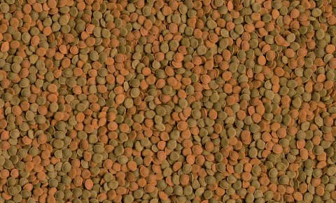 Tetra Wafer Mix 1000ml Tetra Wafer Mix 1000ml