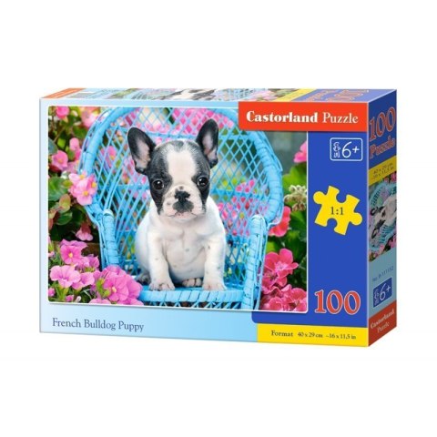 Puzzle 100 french bulldog pupy CASTOR Puzzle 100 french bulldog pupy CASTOR